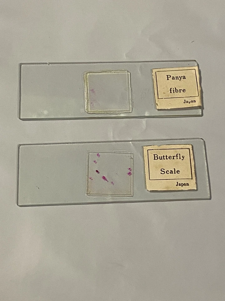 2 Лот старинный микроскоп образец слайды: Panya волокна и бабочка весы (Япония) - Изображение 2 из 4