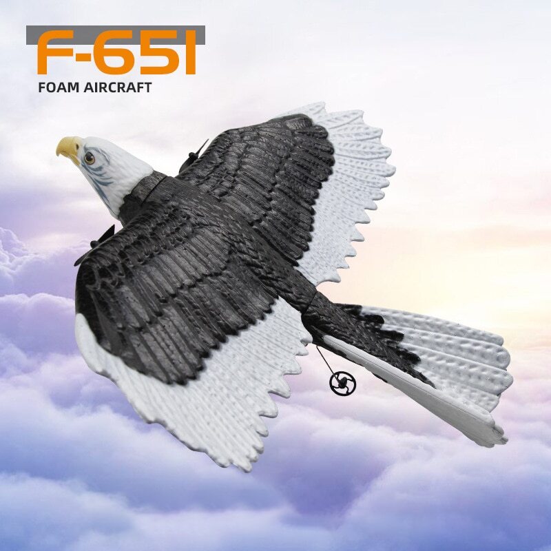RC Plane Flying Eagle Foam Airplane Fighter Aircraft 2.4G Remote Toys