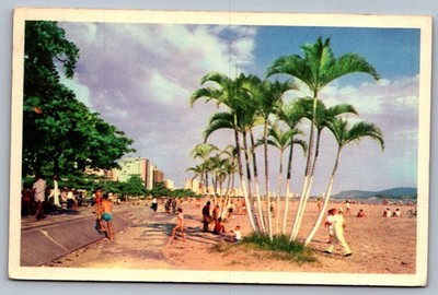 1960s Coastal City Beach Santos Brazil Postcard