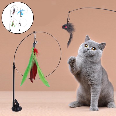Katze Teaser mit Saugnäpfen Haustier Feder Spielzeug für Kätzchen Kätzchen