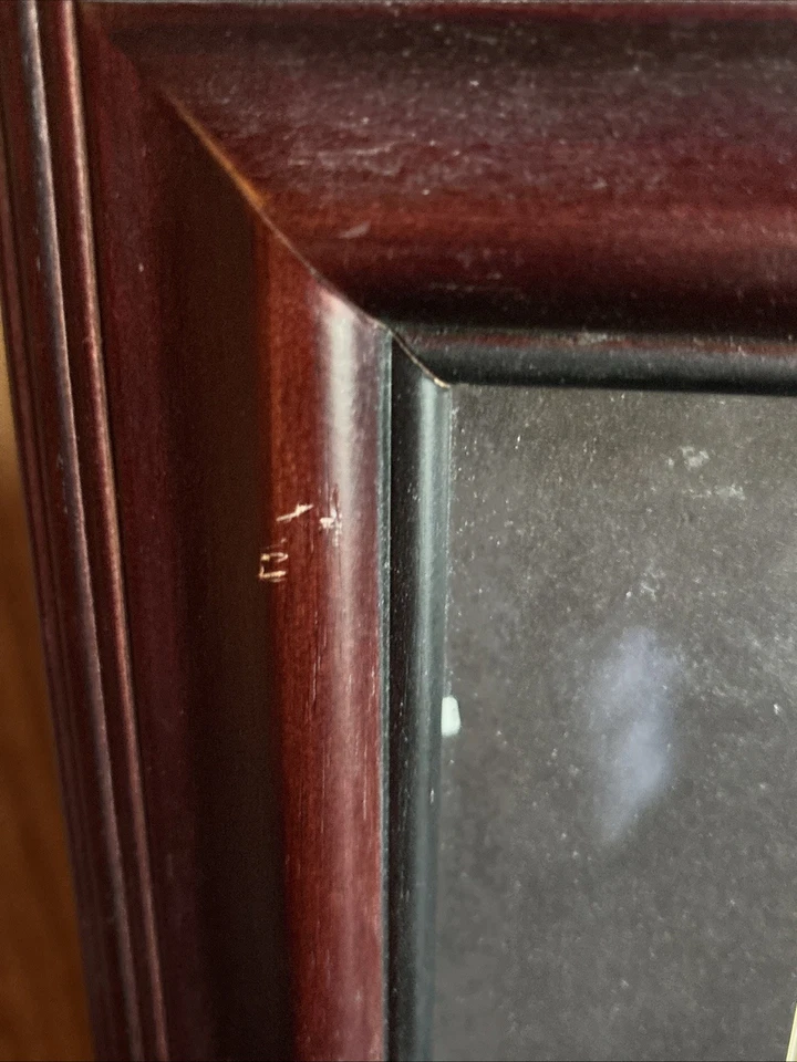  ~15.5 X 22.75" Shadow Box   - 2001 Champion JEFF GORDON 1/24 Car - Image 4 of 4