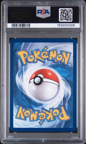 2026 Pokemon MEP First Partner Illustration Collection #039 Squirtle PSA 10 - Bild 2 von 2