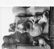 81 CORDES SUR CIEL LE LOGIS DU GRAND FALCONNIER