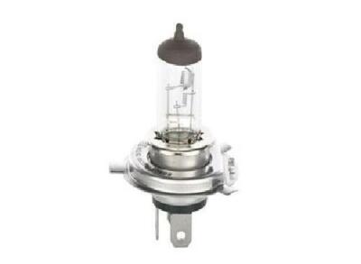 Genuine Bosch Bulb 1 987 302 441