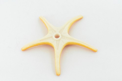 Seestern Spielzeug, Ross Sea Star, Sea Life, realistisches Kunststoffmodell, 2 1/4" F927 B158 - Bild 5 von 5
