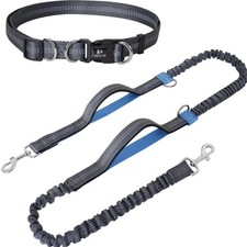 Hundeleine Jogging Elastisch Reflektierend für Mittelgroße Große Hunde 50kg