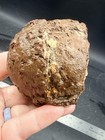 5.8 Ibs Mystery Thundereggs. 4 Whole Eggs And One 1/2 Egg. 5 Pcs Altogether. — photo 6