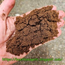 Fermented wood flake soil for beetle larvae, 4L+ rhino/flower/stag/ beetle grade
