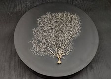 White Sea Fan Coral (1 seafan approx. 7-9+ inches)