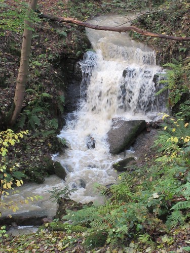 4.5 ACRES WOODLAND NATURE RESERVE WOODS WOOD WITH STREAMS WATERFALLS & BRIDGES