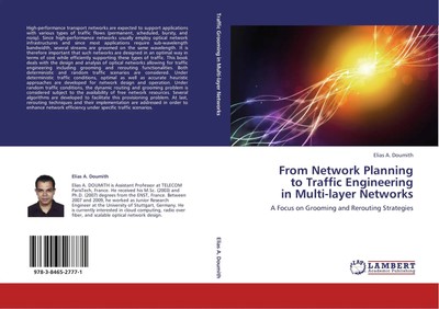 From Network Planning to Traffic Engineering in Multi-layer Networks Doumith