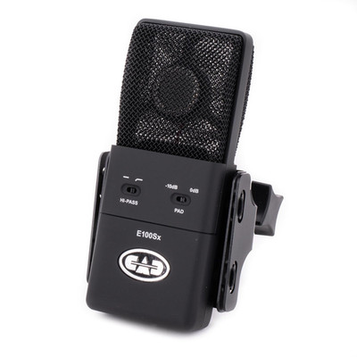 E100SX Large-Diaphragm Supercardioid Condenser Microphone   Vintage Tone, Hi-Pas