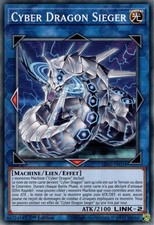 Yu-Gi-Oh: Cyber Drachenbelagerer - LDS2-FR034 - Commune - NM - DE