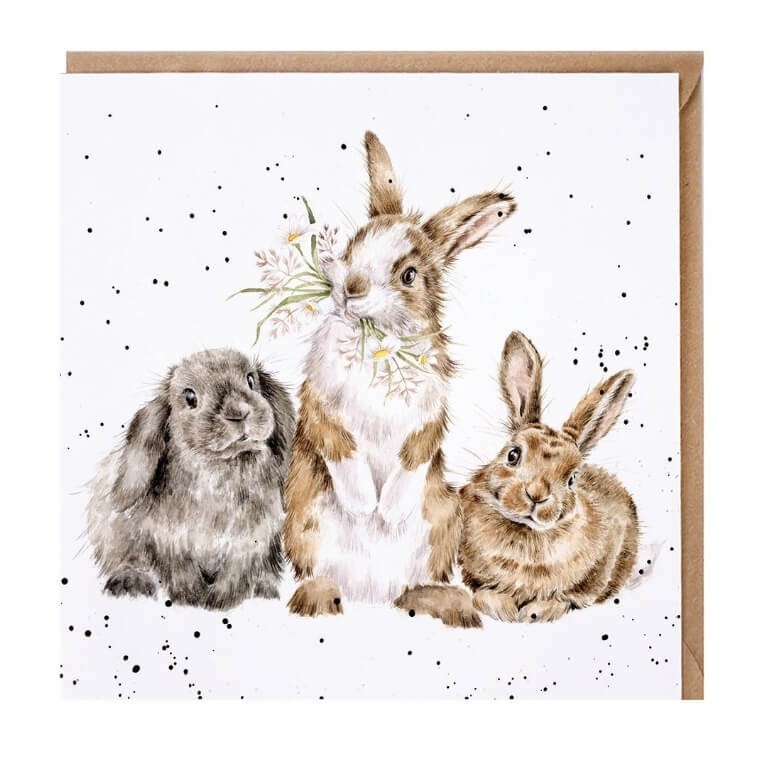 Wrendale Birthday Card All Ears Rabbits – British Wildlife Blank Greeting Card
