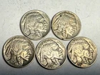 (Lot of 5) XF full-horn Indian Head BUFFALO NICKELS. 1935, 1936, 3x 1937 #q10