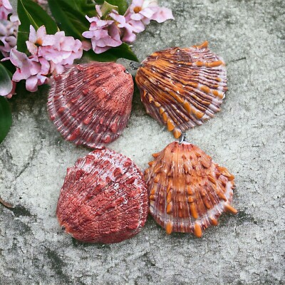 Natural Spiny Oyster Shell Pendant From Mexico (1pc)