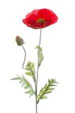 künstliche Mohnblume mit 1 Blüte + 1 Knospe rot H. 70cm Emerald Kunstblumen