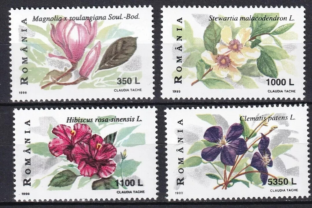 Foto 1 di 1