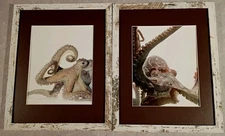 2 11"x14" framed octopus street urban image marine photography 