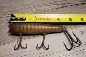 Creek chub Darter | eBay