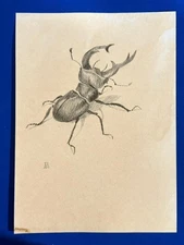 Alberto Durero (Handmade) Drawing on antique paper Signed and Sealed.