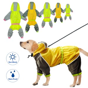 amazon dog raincoat advert