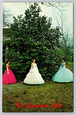 Greensville Alabama Camelia Tree Ladies in Dresses Postcard