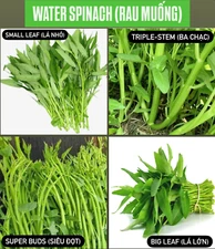 WATER SPINACH SEEDS(Big+Small Leaf/Super Buds/Triple Stem)Rau Muống ong choy