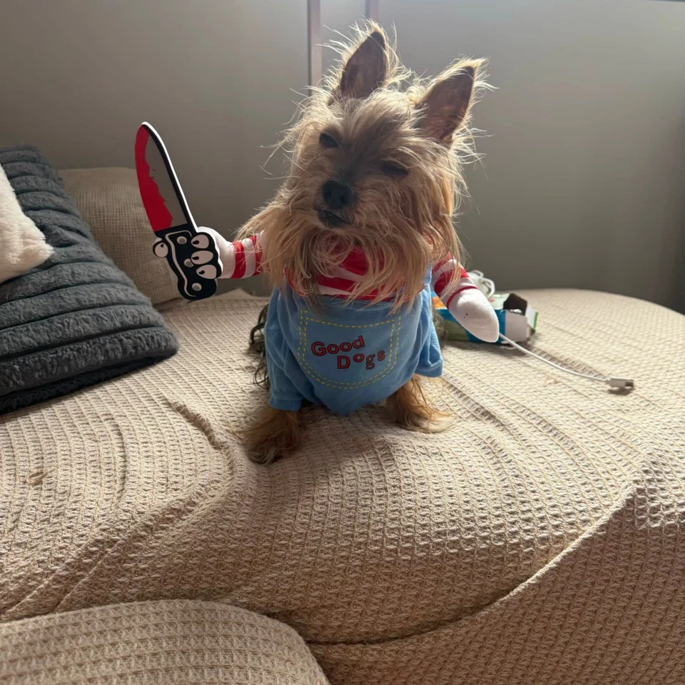 Cat Outfits Cosplay Costumes for Halloween Kitten Jumpsuits Soft Warm Cat Coats - Image 3 of 4