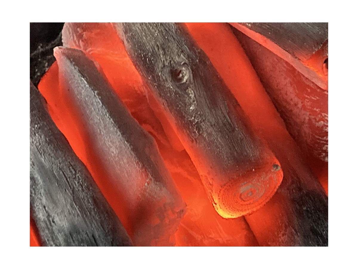 The Bincho Grill Binchotan Charcoal for Japanese BBQ 11lbs