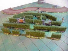 Wargame Terrain Hedge set with gate 28mm 25mm Painted lot of 12 pcs