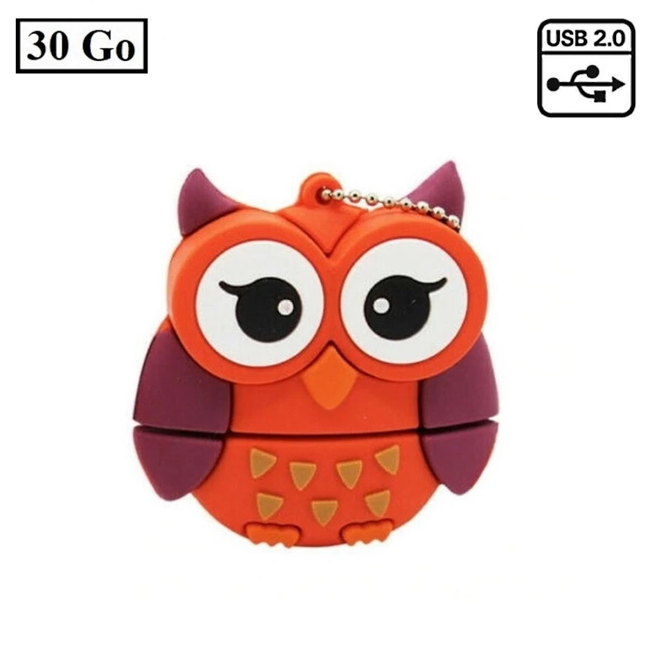 Clé USB 2.0 Flash Drive 30 Go 30Go Hiboux - Photo 2/4