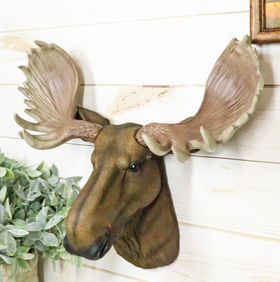 North American Granddaddy Bull Moose with Antlers Trophy Head Wall Decor 15''L