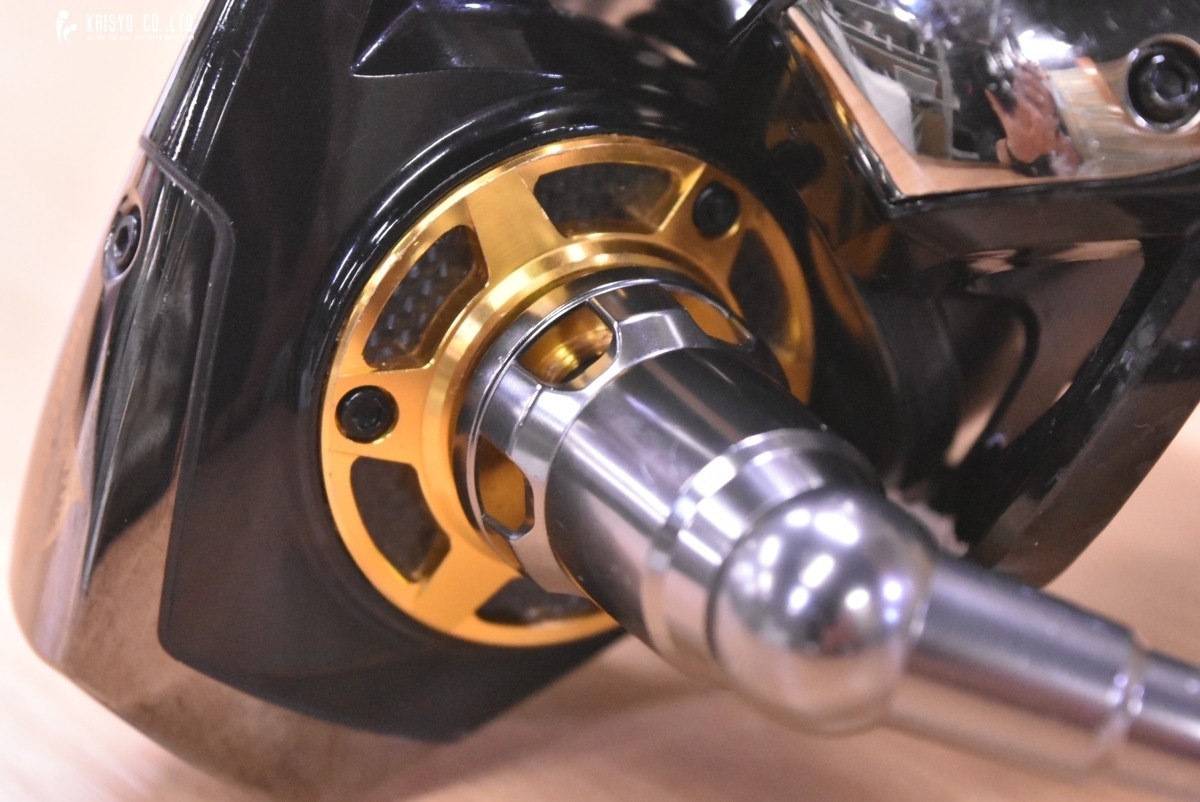 Daiwa 10 Saltiga Dogfight 7000H Spinning Reel for Casting and Big