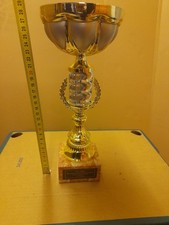 Pokal Trophy Mit Sockel