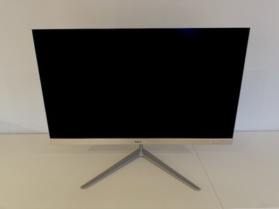 Terra All-in-One 2400 Greenline, 23,8 Zoll, 4 GB, 256 GB SSD, Win 11, I3-8145U