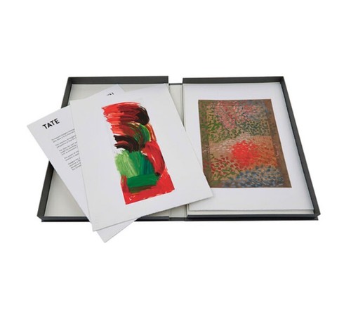 Rare Howard Hodgkin x Tate Modern Print Portfolio - Picture 3 of 8