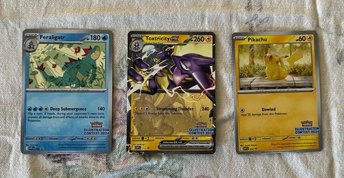 Pokémon 2024 Illustration Contest Promos 3 Karten