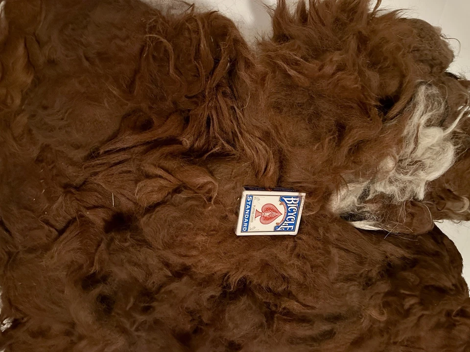 3 Pounds 9.6oz Llama Red Fawn Natural Spinning Fiber (B36) - Image 2 of 4
