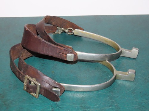 Speroni Da Donna Sheldon – Mai Arrugginiscono, Con Cinturino In Nylon, Nuovi