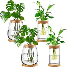4 Pcs Plants Propagation Stations vases Glass Planters W/ Wooden Lid  Bamboo