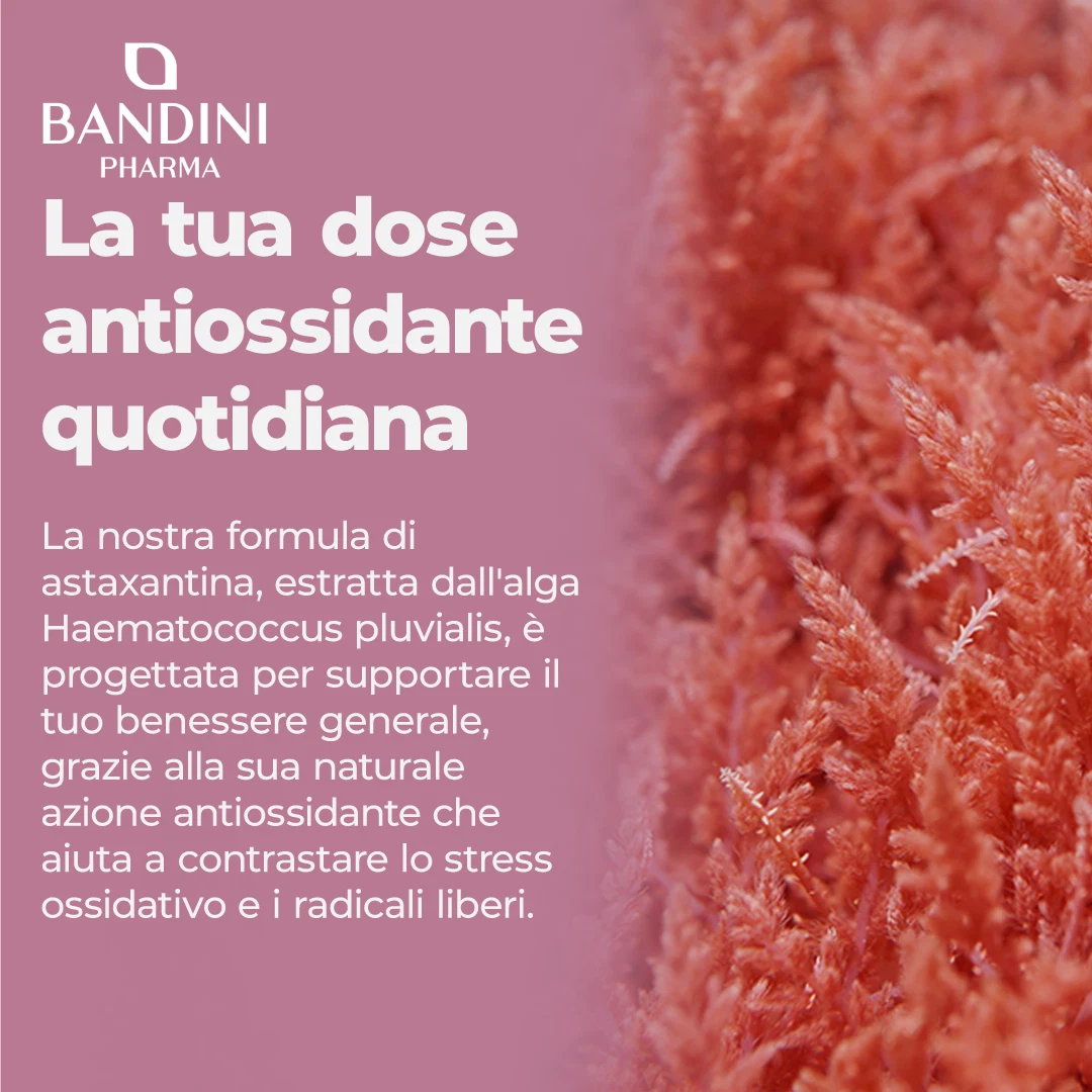 Foto 3 di 6
