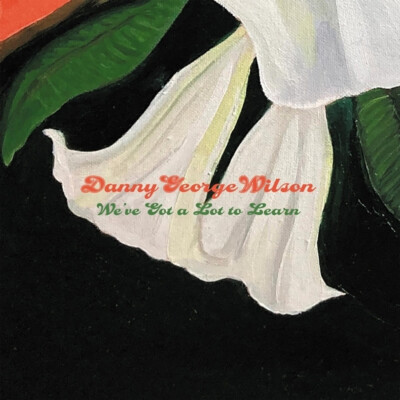 Danny George Wilson - We've Got A Lot To Learn (Vinyl 7'' - 2021 - EU - Original)