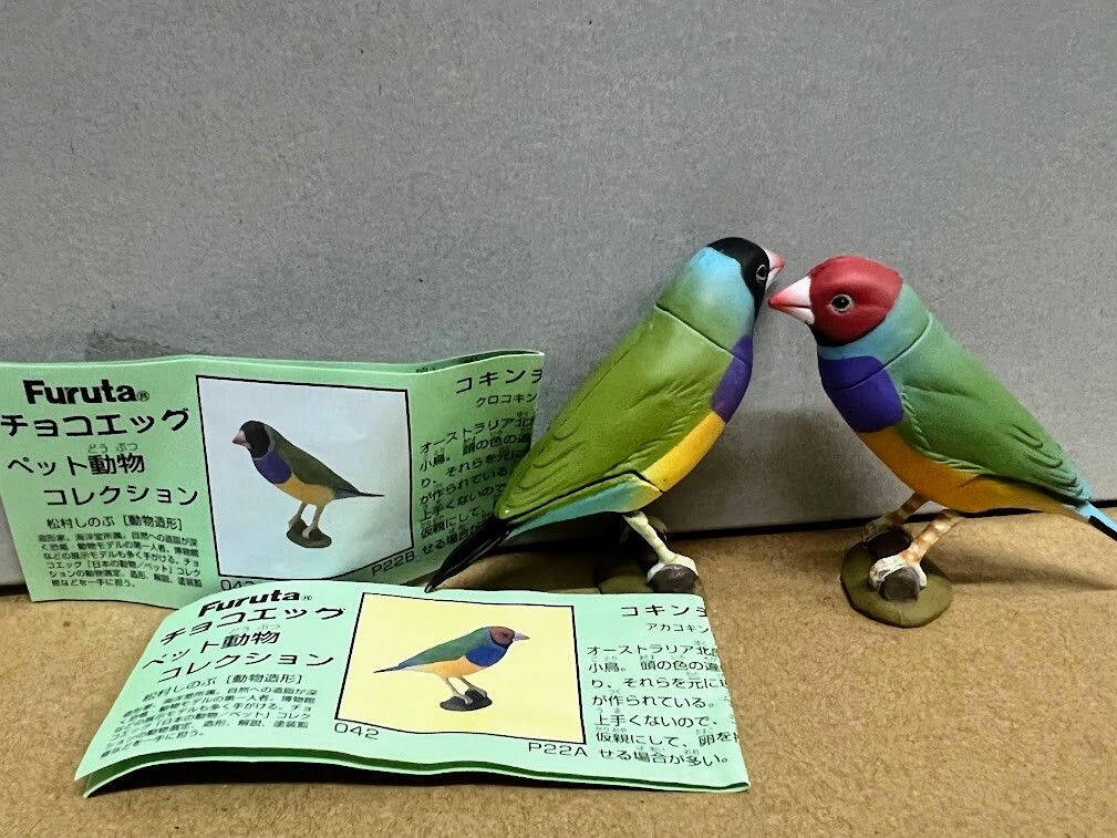トイガン choco Furuta Kaiyodo Choco egg animal figure - a pair Gouldian