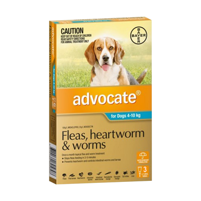advocate medium dog aqua