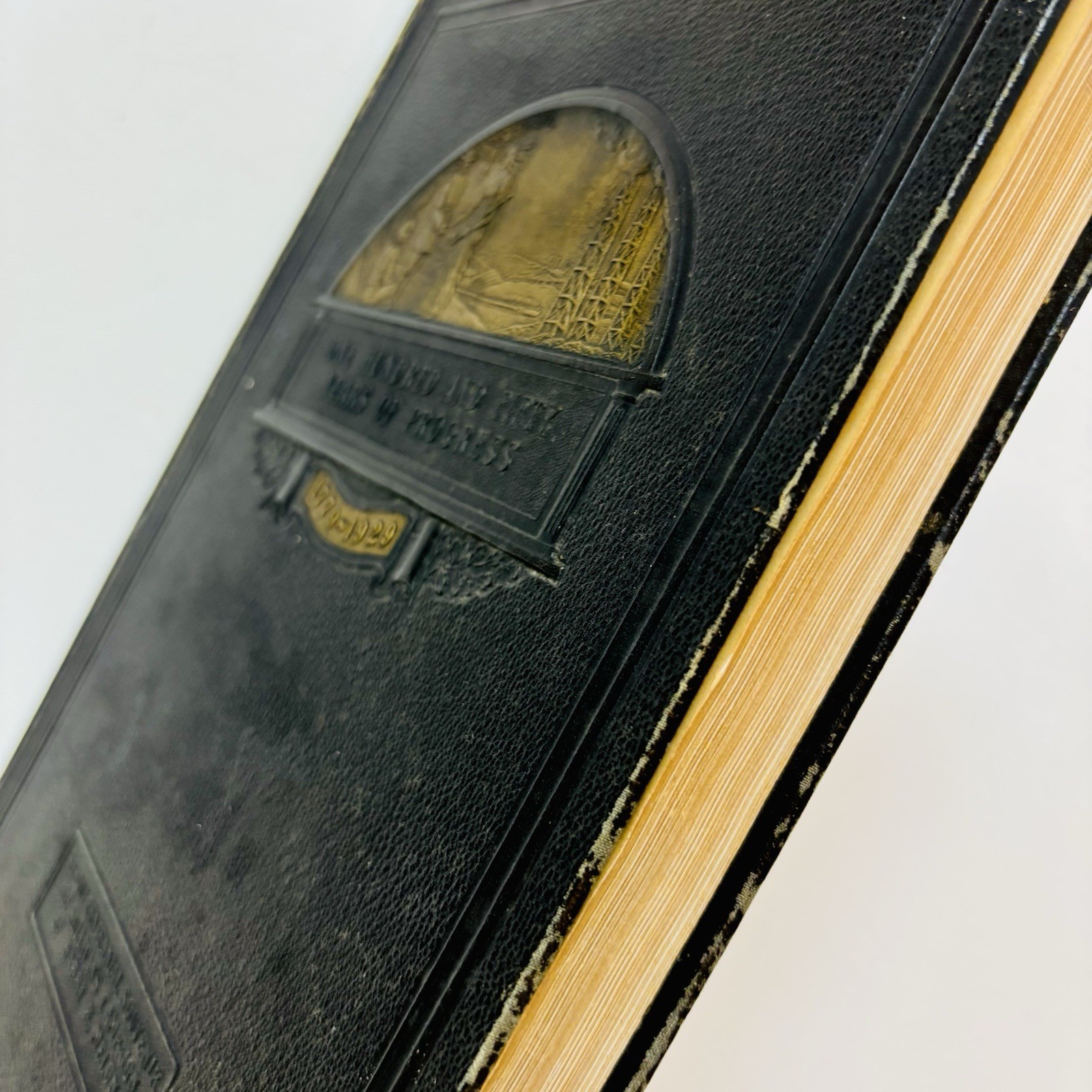 RARE 1st Ed Vtg AUBURN NY Finger Lakes History Air Ship SULLIVAN  CAMPAIGN 1929