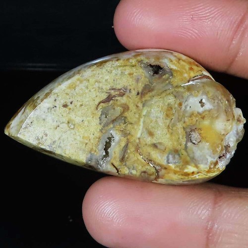 (28X49X20 MM) 167.55 Carat. NATURAL FOSSIL SNAIL DRUZY CABOCHON LOOSE GEMSTONE - Picture 2 of 6