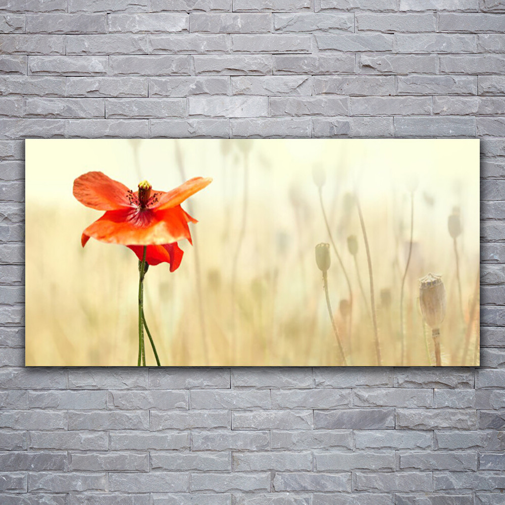 Impression 120x60 floral pavot en verre acrylique pour décorer une chambre