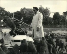 Press Photo Actor Topol with Baboons in Scene of "The Public Eye" - hcp51288