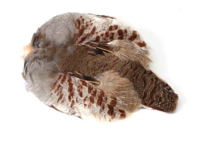 Partridge Skin Natural COMBINED SHIPPING IN CART
